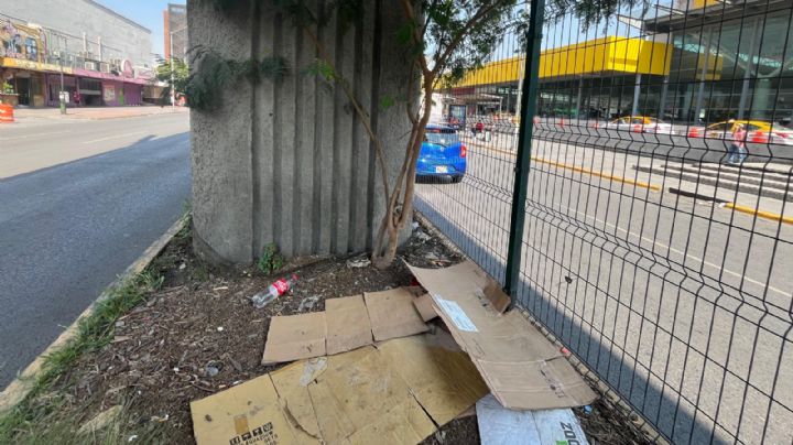 Descuidan camellón bajo la Línea 1 del Metro tras 9 meses de inaugurarlo