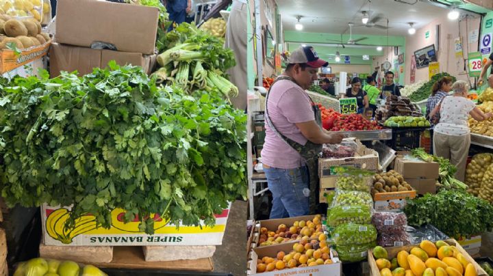 En NL manojo de 5 kilos de cilantro pasa de 110 a 450 pesos; taqueros sufren y deben 'aguantar'