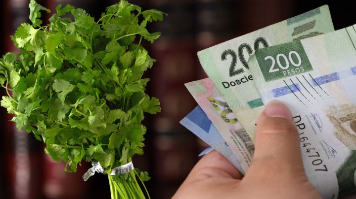 ¿Por qué el cilantro está tan caro en México?