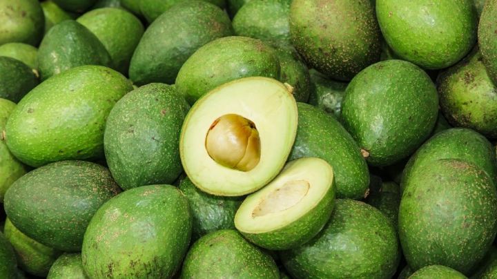 EU reanudará inspección de aguacate en Michoacán