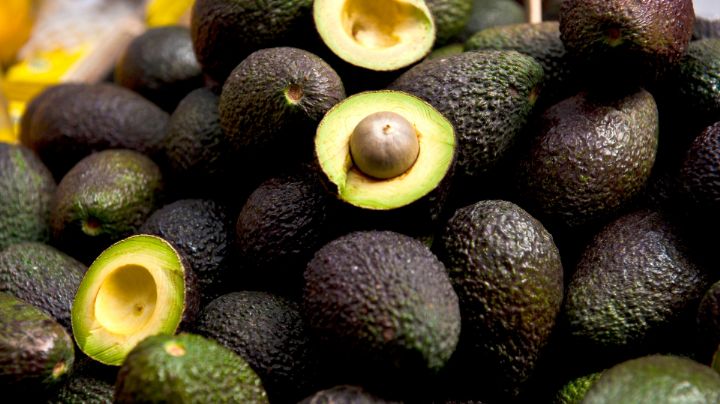 Inspección de aguacates seguirá suspendida hasta que haya seguridad: Ken Salazar