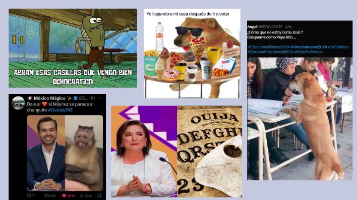Estos son los mejores memes sobre la elección presidencial 2024