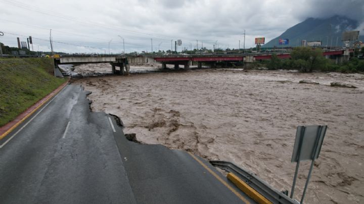 ‘Árboles dañados en incendios hubieran protegido vialidades’: Ambientalista