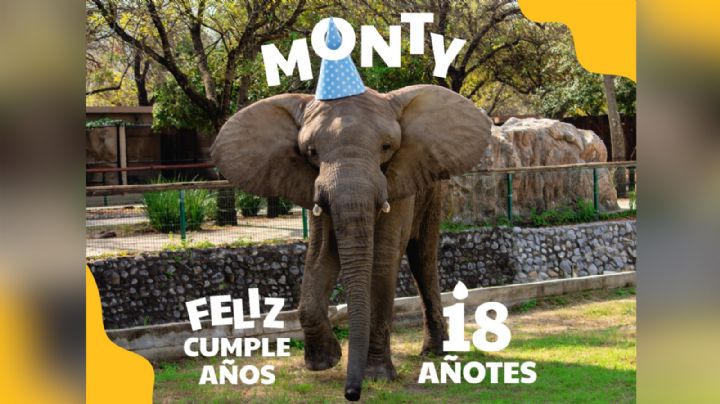 Monty tendrá fiesta por su cumpleaños 18: ¿Cuándo y dónde será su festejo?
