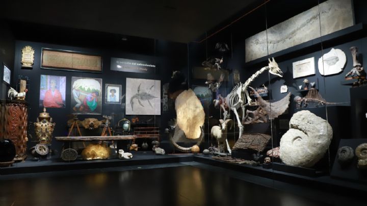 Museo La Milarca ya tiene fecha de apertura: Horarios y precios