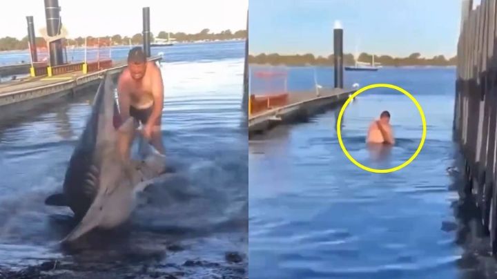 Video: Hombre devuelve al mar a tiburón varado y lo monta en Australia