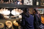 'La Milarca' recibe a más de mil 500 visitantes en su primer fin de semana