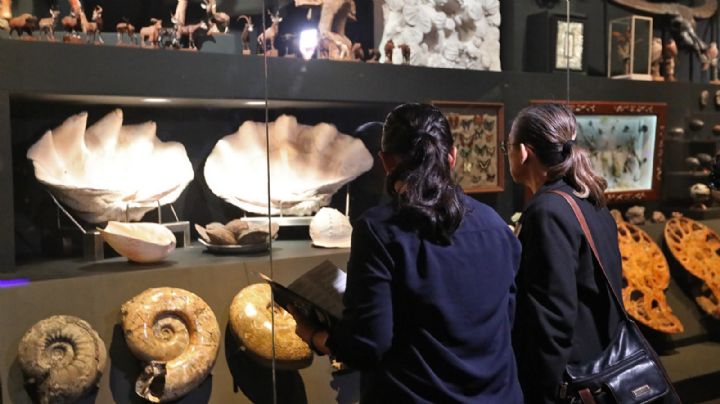 'La Milarca' recibe a más de mil 500 visitantes en su primer fin de semana