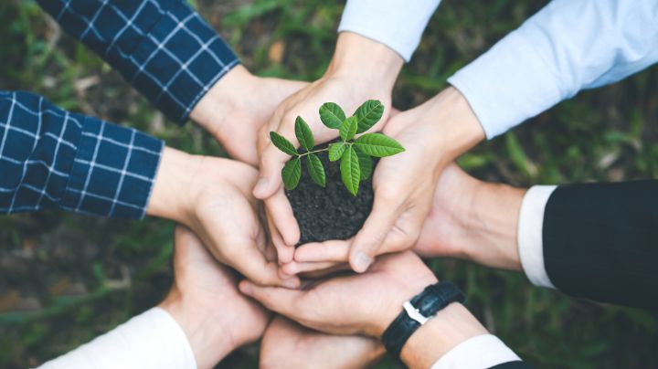 Busca Monterrey miembros del Consejo de Protección Ambiental y Cambio Climático