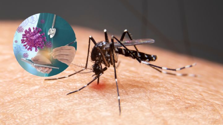 Casos de dengue se disparan 239% en México