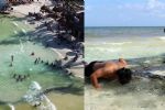 ¿Por qué surgen los ojos de agua dulce en las playas de Quintana Roo?