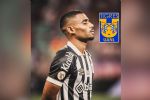 Joaquim Pereira es el segundo refuerzo de Tigres