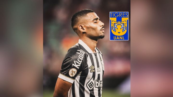 Joaquim Pereira es el segundo refuerzo de Tigres