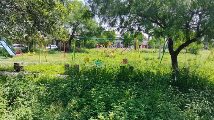 Vecinos urgen por limpieza a parque de Arboledas del Oriente en Guadalupe