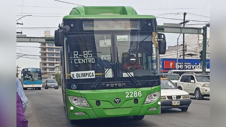 ¿Hay paro de labores en la ruta 85 Playa? Esto sabemos