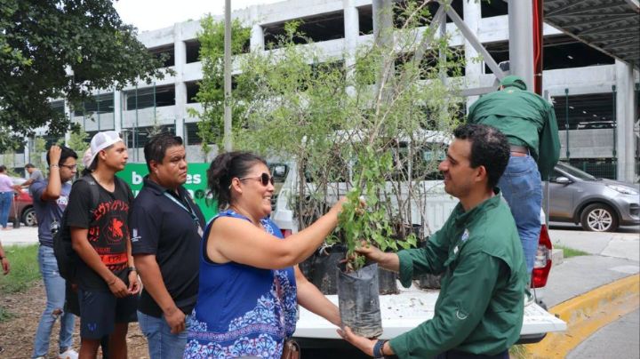 ¡Sigamos plantando! ¿Dónde y cuándo regalarán árboles en Monterrey?