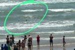 Mujer es atacada por un tiburón en la Isla del Padre en Texas