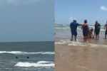 Ataque de tiburón en la Isla del Padre dejó 4 personas heridas