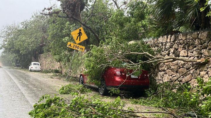 Huracán Beryl no dejó personas muertas en Quintana Roo: CNPC