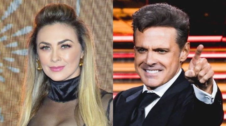 Así reaccionaron los hijos de Arámbula a la supuesta hija no reconocida de Luis Miguel
