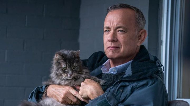 Tom Hanks y sus mejores 5 películas para maratonear en familia