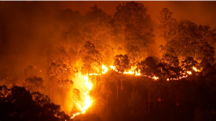 Confirmado: cambio climático generó megaincendios 2023-24