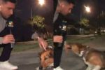 Video: Reportero es mordido por un perro en plena trasmisión en vivo