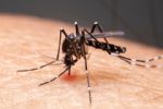 Menor de Nuevo León muere víctima de dengue en Tamaulipas