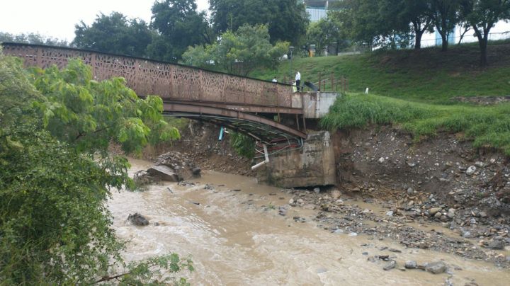 Colapsa puente peatonal en parque Rufino Tamayo, en San Pedro
