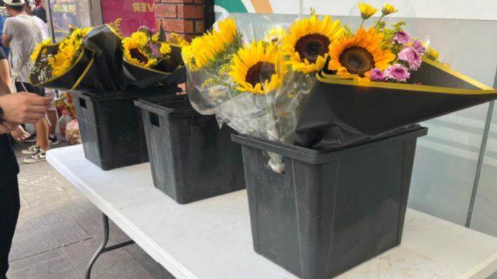 Venta de flores aumenta 90% en Monterrey por moda argentina