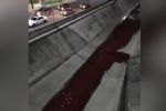 ¿Sangre, salsa o una broma? Aparece líquido rojo en canalón de San Nicolás