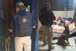 Con binomios caninos catean vivienda en San Nicolás y encuentran droga