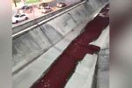 ¿De dónde provenía el líquido rojo del canalón de San Nicolás?