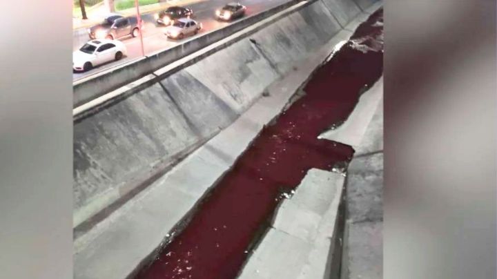 ¿De dónde provenía el líquido rojo del canalón de San Nicolás?