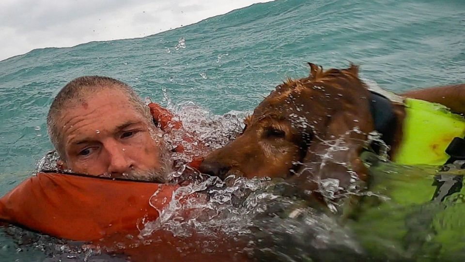 Rescatan a hombre y su perro en el mar; fueron golpeados por el huracán Helene | X / @USCGSoutheast