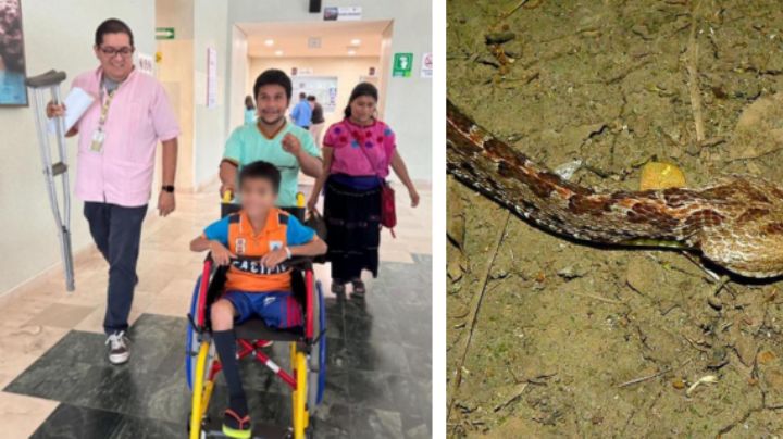 Niño pierde una pierna al salvar a su hermanita de 3 años de una serpiente venenosa