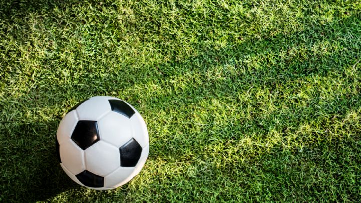¿Qué equipos son los favoritos para ganar la liga mexicana de fútbol?