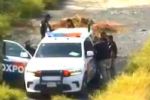 Hallan a mujer muerta en vías del tren en Escobedo