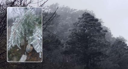 Sierra de Santiago se pinta de blanco