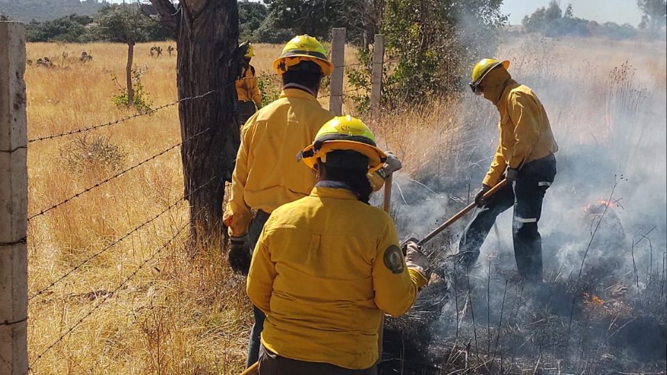 Apagafuegos actuando contra incendio en pastizal | Facebook / Conafor