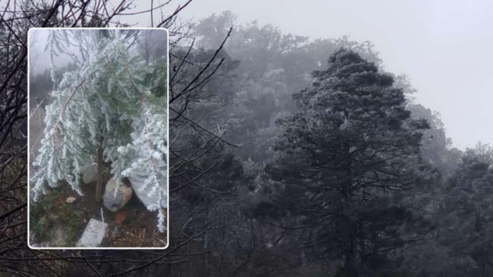 El manto blanco de hielo se puede observar a partir de la zona de La Nogalera, en la carretera de El Cercado a la Laguna de Sánchez.