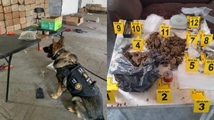 Detenciones por narcomenudeo al alza por sexto año consecutivo en NL