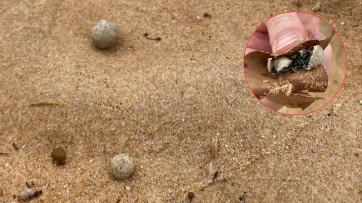 Cierran 9 playas en Sídney tras presencia de esferas desconocidas