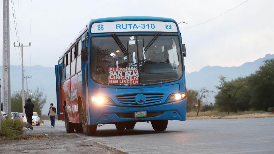 Camión de la Ruta 310