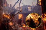 Incendios de Los Ángeles destruyen archivos de la historia mexicoestadounidense