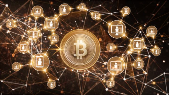 Falta de normas en criptomonedas facilita fraude en México