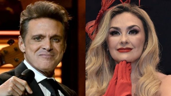 Batalla legal entre Luis Miguel y Aracely Arámbula por manutención habría terminado