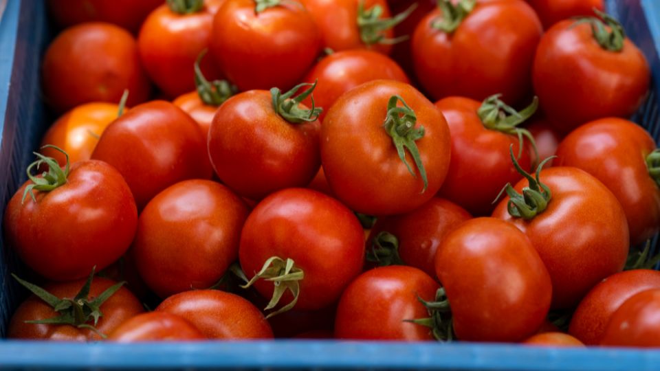 Tomate en venta