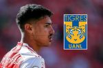 ¿Quién es Rómulo Zwarg, el nuevo fichaje de Tigres?