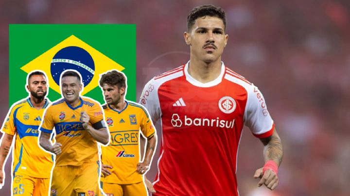 Rómulo Zwarg se unirá a la legión brasileña de Tigres
